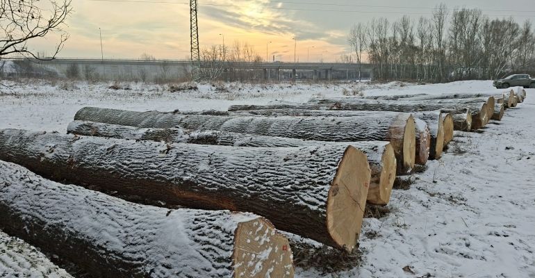 PREZENČNÍ AUKCE DŘÍVÍ OSTRAVA 23.-24.2.2026